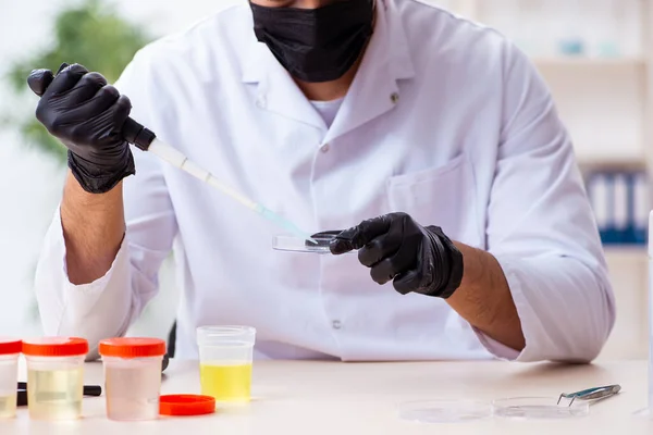 Ung manlig kemist som arbetar i labbet — Stockfoto