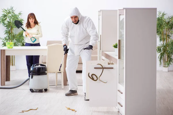 Joven contratista masculino exterminando serpientes en el piso — Foto de Stock