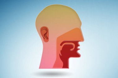 Çeşitli organları olan insan kafası tasviri