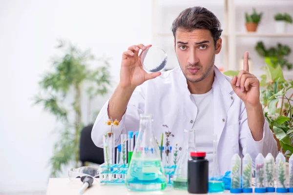 Joven químico masculino trabajando en el laboratorio —  Fotos de Stock