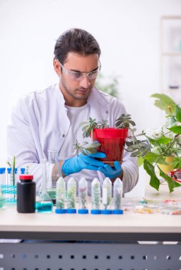 Laboratuvarda çalışan genç bir kimyager.