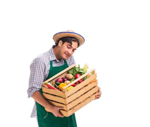 Joven agricultor con productos frescos aislados sobre fondo blanco —  Fotos de Stock