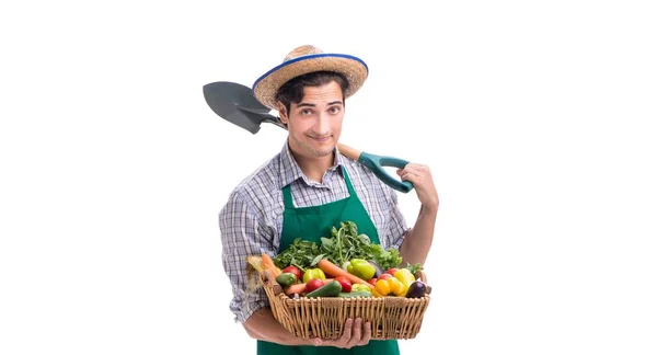 Jeune agriculteur avec des produits frais isolés sur fond blanc — Photo
