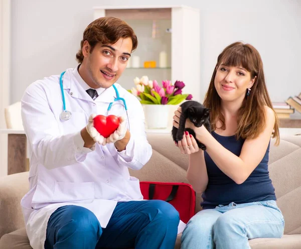 Vet doctor visiting sick kittens at home