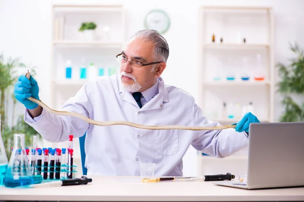 Viejo químico sosteniendo serpiente en el laboratorio de ciencias — Foto de Stock