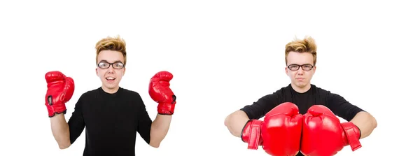 Boxeador divertido aislado en el fondo blanco — Foto de Stock