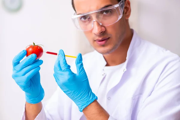 Genç erkek beslenme uzmanı gıda ürünlerini laboratuarda test ediyor. — Stok fotoğraf