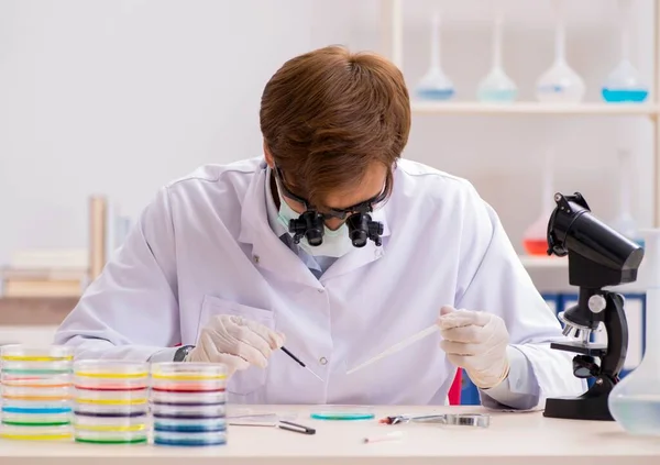 Joven químico trabajando en el laboratorio — Foto de Stock