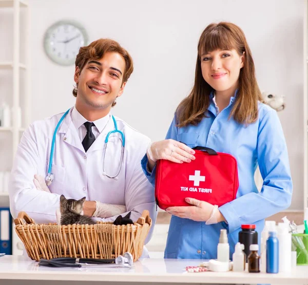 Läkare och assistent på veterinärkliniken kollar upp kattungen — Stockfoto