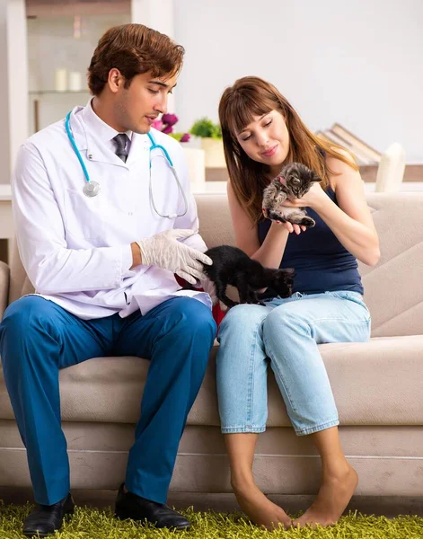 Vet doctor visiting sick kittens at home