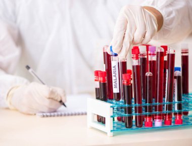 Genç yakışıklı laboratuvar asistanı hastanede kan örnekleri test ediyor.