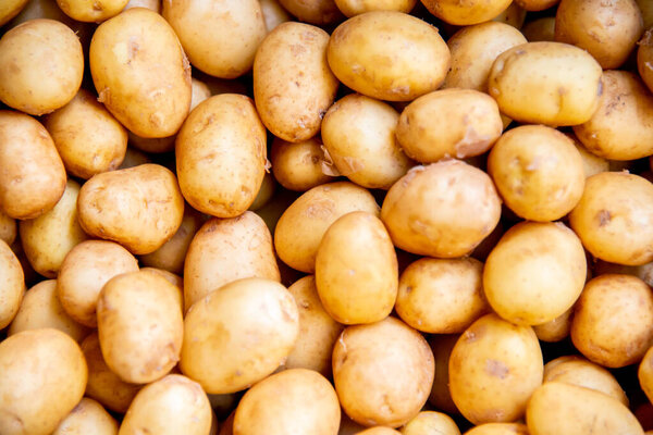 Potatoes at the market display