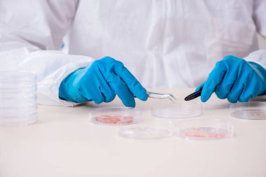 Laboratuvarda çalışan genç bir kimyager.