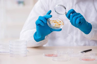 Laboratuvarda çalışan genç bir kimyager.