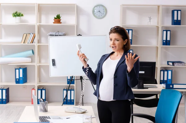 Ervaren vrouwelijke werknemer werkzaam in het kantoor — Stockfoto