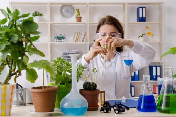 Anciana química biotecnológica que trabaja en el laboratorio — Foto de Stock