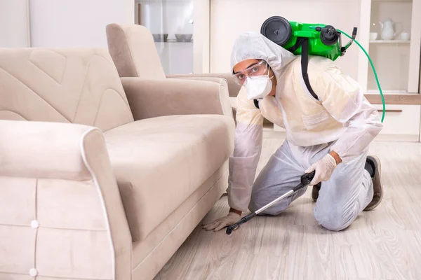 Ongediertebestrijding aannemer werkzaam in de flat — Stockfoto