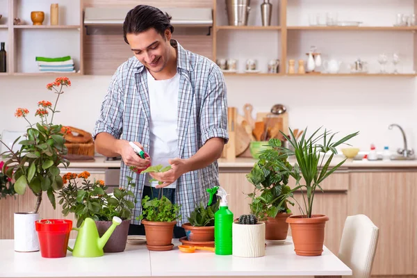 Giovane bell'uomo che coltiva fiori a casa — Foto Stock