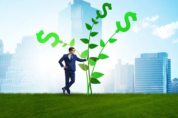 Money tree concept with businessman in growing profits — Stock Photo, Image