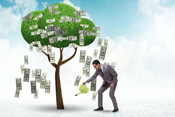 商人浇灌投资理念中的资金树 — 图库照片