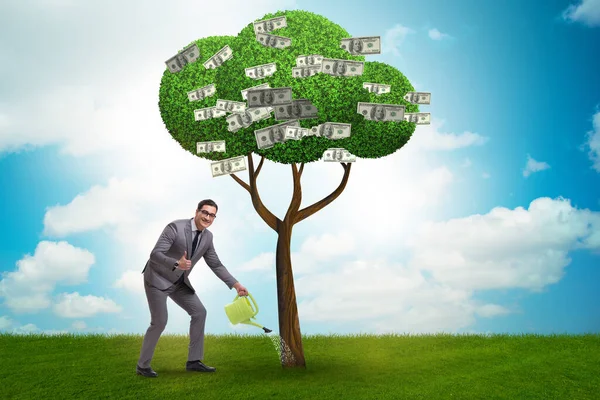商人浇灌投资理念中的资金树 — 图库照片