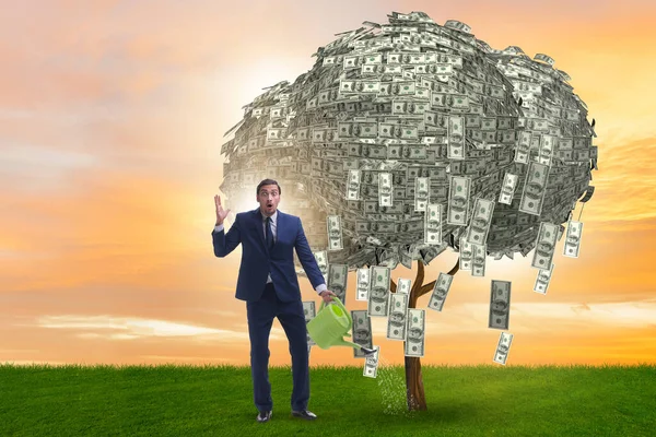 Biznesmen podlewanie drzewa pieniędzy w koncepcji inwestycyjnej — Zdjęcie stockowe