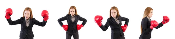 Vrouw zakenvrouw met bokshandschoenen op wit — Stockfoto