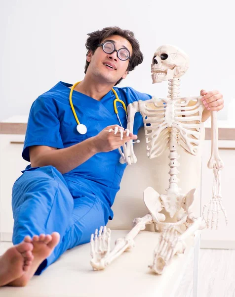 Médico divertido con esqueleto en el hospital —  Fotos de Stock