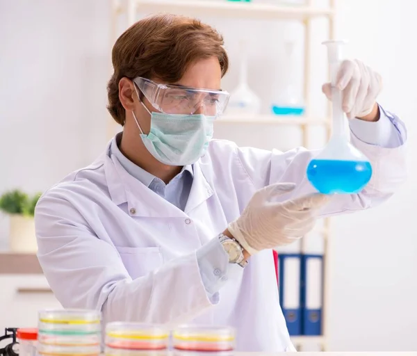 Jovem químico trabalhando no laboratório — Fotografia de Stock