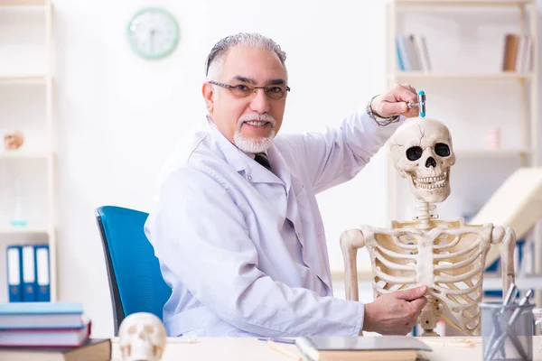 İskeleti olan yaşlı erkek doktor. — Stok fotoğraf