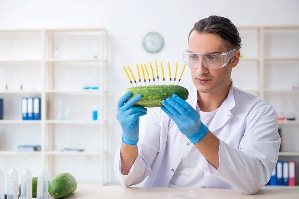 Mannelijke voeding expert testen van groenten in het lab — Stockfoto