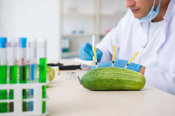 Mannelijke voeding expert testen van groenten in het lab — Stockfoto