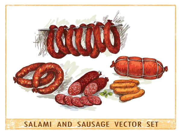 Salami y salchichas puestas en marcha — Vector de stock