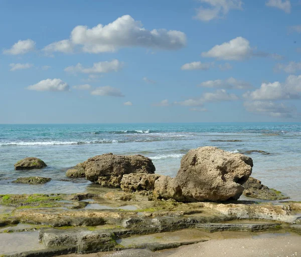 Pierres Sur Plage Mer Palmahim Rishon Lezion Israël — Photo