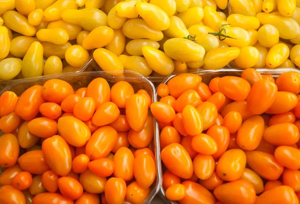 Een Uitzicht Van Rijpe Kleurrijke Tomaten — Stockfoto