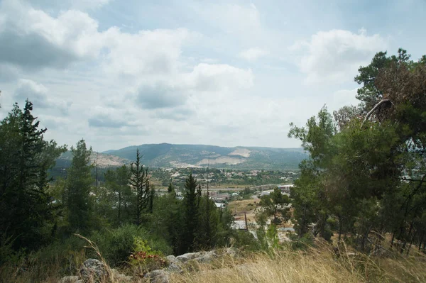 Άποψη Του Δάσους Κοντά Στο Beit Shemesh Ισραήλ — Φωτογραφία Αρχείου