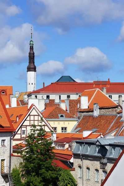 Stare Miasto, Tallin, Estonia — Zdjęcie stockowe