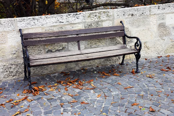 Bench for rest — Stock Photo, Image