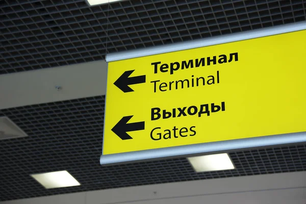 Pointer at the airport — Stock Photo, Image