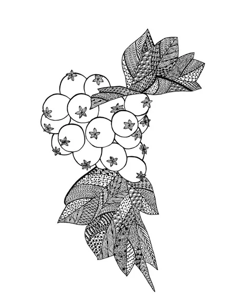 Desenho de bagas Hawthorn — Fotografia de Stock