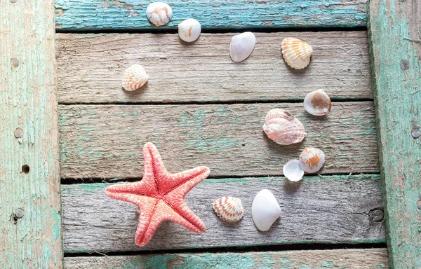 Червона морська зірка і черепашки на дерев'яному тлі — стокове фото