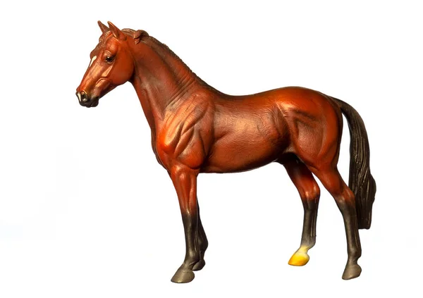 Obrázek koně — Stock fotografie