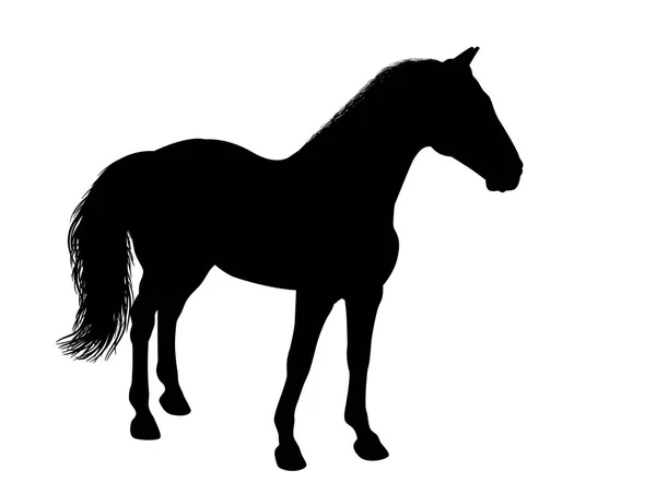 Silhouette d'un cheval debout — Image vectorielle