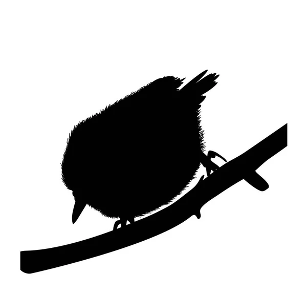 Silhouet van een vogel-Boomklever — Stockvector