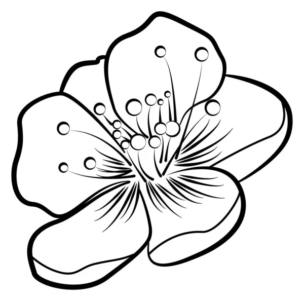Flor de manzana. Patrón de contorno — Vector de stock