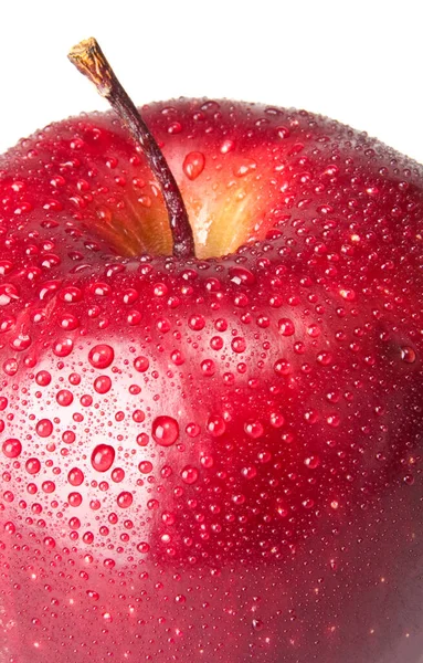 Mokre Czerwone Jabłko Białym Tle — Zdjęcie stockowe