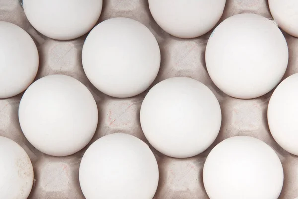 Many White Eggs Box — Stock Photo, Image