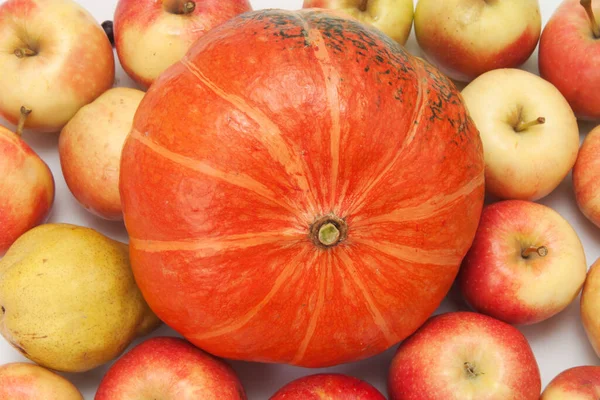 Calabaza Naranja Con Manzanas Fondo — Foto de Stock