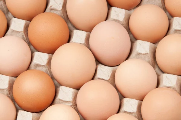 Many Brown Eggs Background — Stock Photo, Image