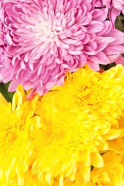 Park yerinde genç adam, dur işareti.